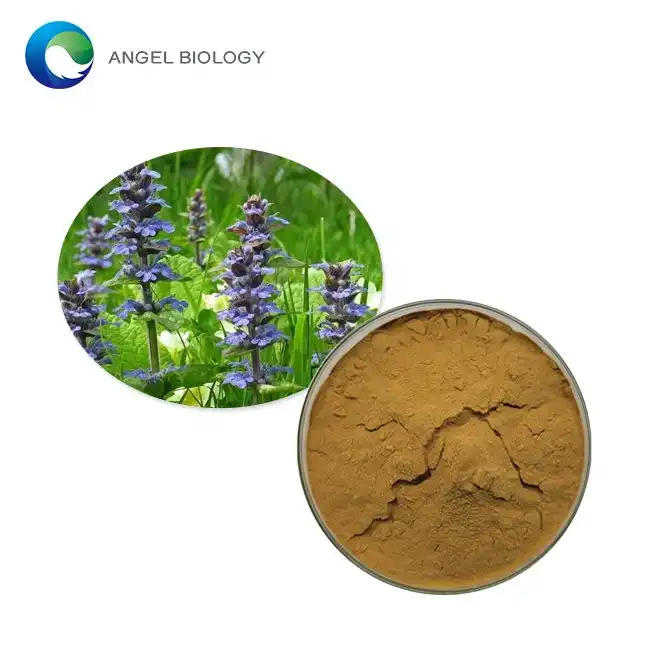 Turkesterone Powder